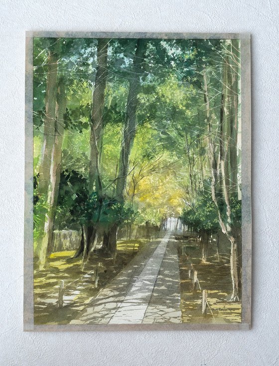 Early Summer Light on the Temple Path