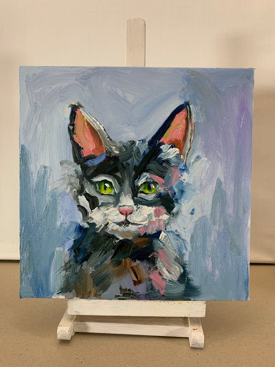 Blue black Cat portrait.