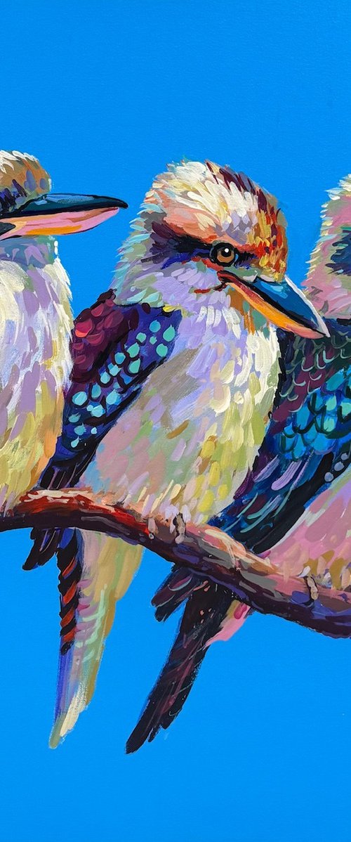 Three Kookaburras III by Jos Coufreur