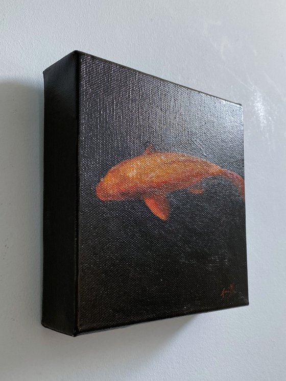 Koi Carp Fish On Chunky Box canvas.