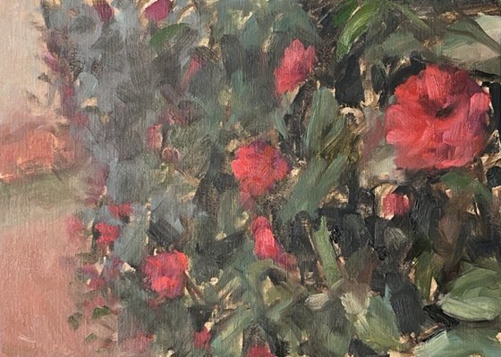 Camellias in Bloom