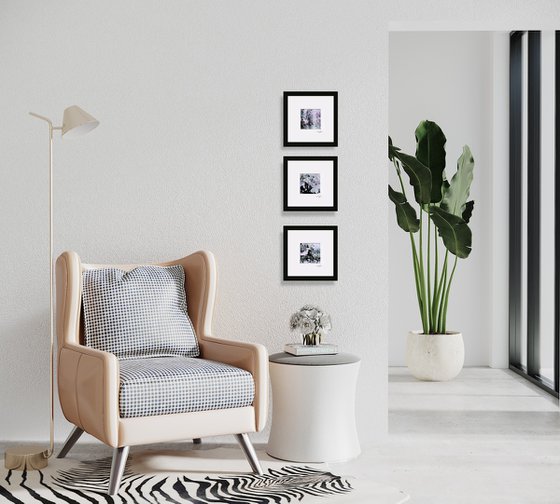 Song Of The Journey Col. 6