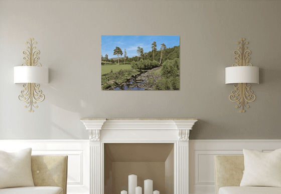 Verdant Meadow With Creek