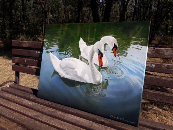 white swans on the pond, realistic bird painting