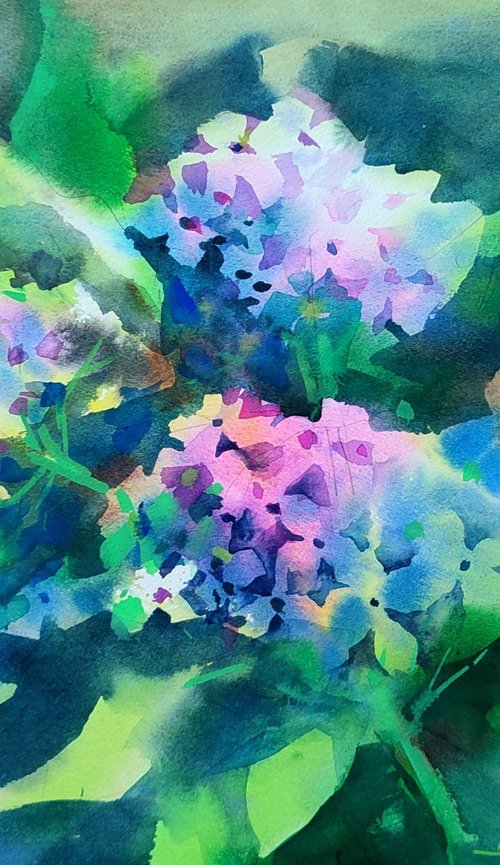 Hydrangea flowers by Nadiia Dubei