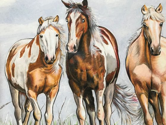 Three horses