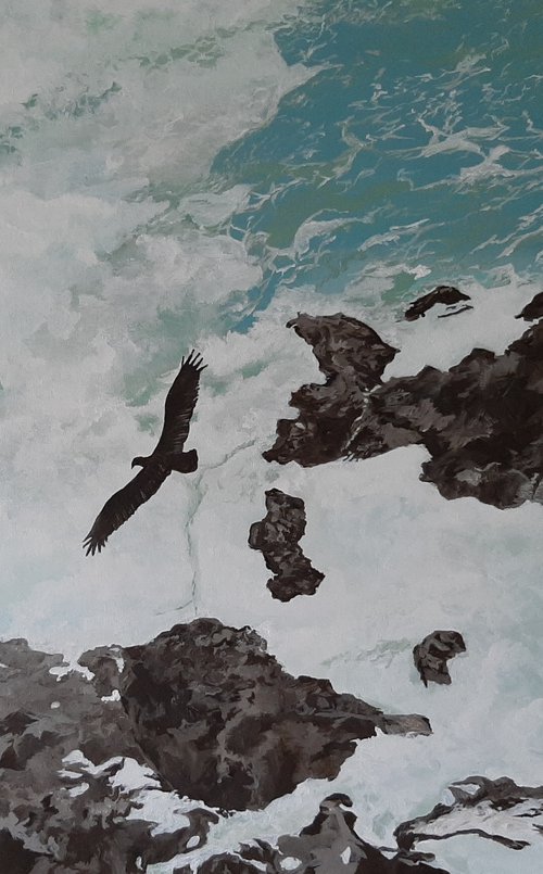 “Freedom” Bird Soaring by Anne Shaughnessy