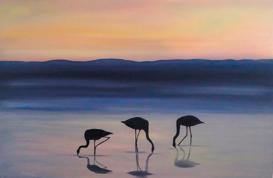 "Flamingo and sunset"