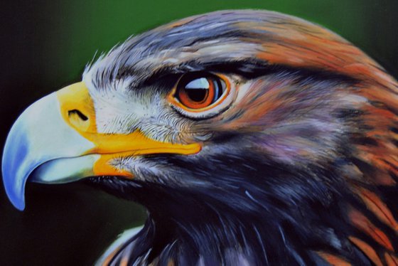 Falcon, Oil on canvas