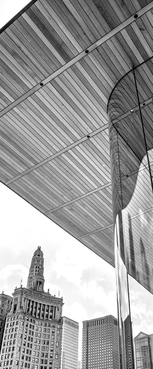 THE ROOFS EDGE Apple Store Chicago by William Dey