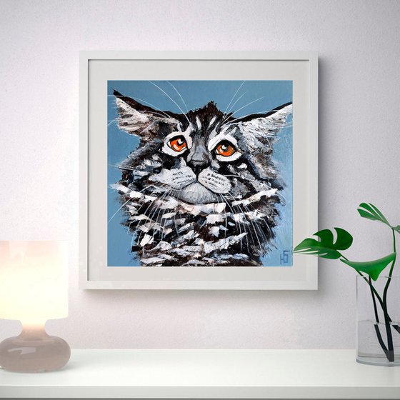 Funny cat Maine Coon