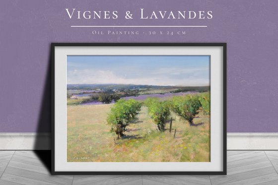 Vineyards and Lavender Fields