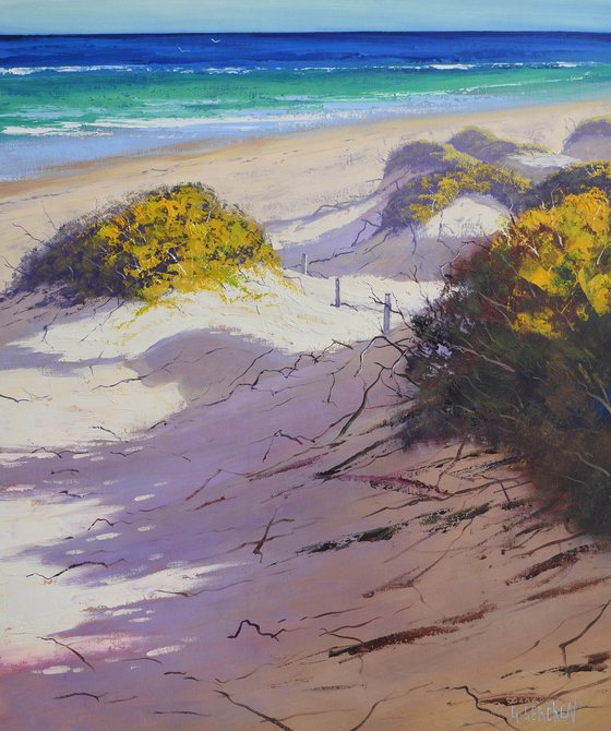 Coastal sandy beach dunes