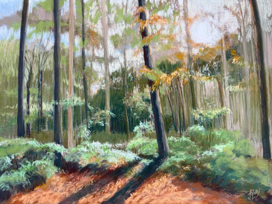 Autumn Shadows