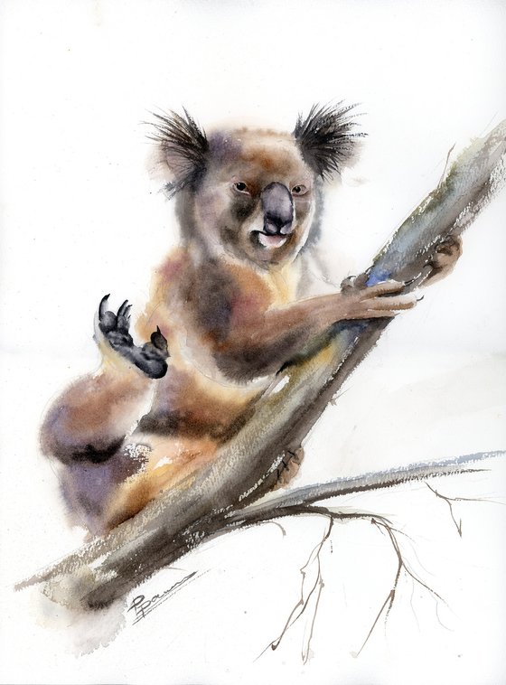 Playful Koala