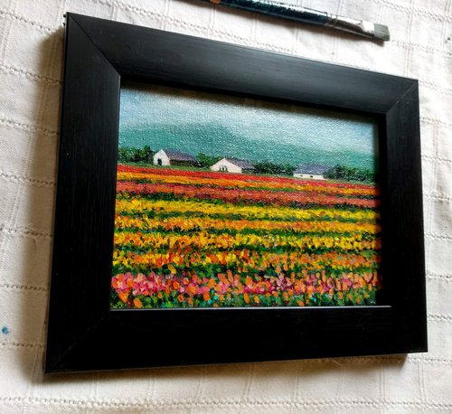 Miniature Tulip Fields of Holland by Asha Shenoy