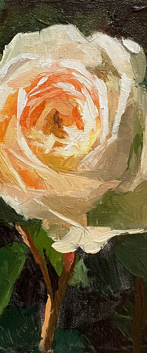 Rose Beauty #4 by Ling Strube