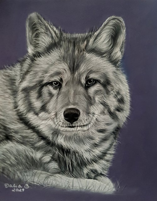 Wolf by Dalia Binkiene