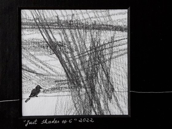 "Just Shades #6" (2 birds on a silver wire)