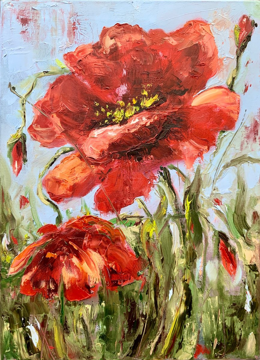 Red Poppy By Alexandra Jagoda (Ovcharenko), 13 X 18, Artwork For Sale On Artfinder