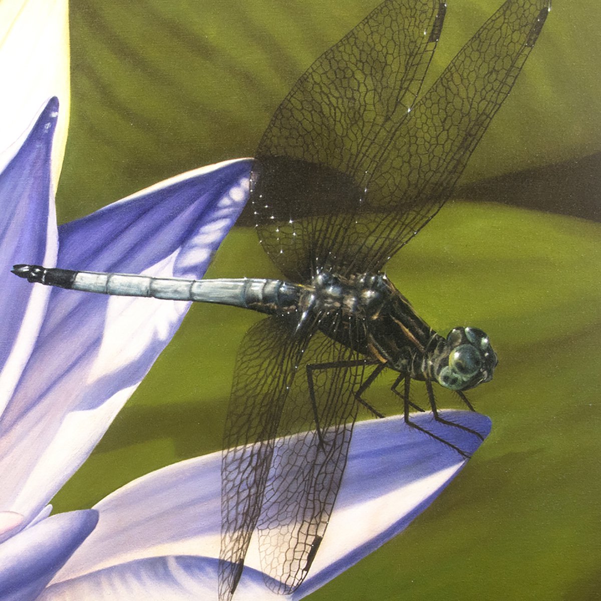 Blue Waterlily with Dragonfly by Juan Bernal