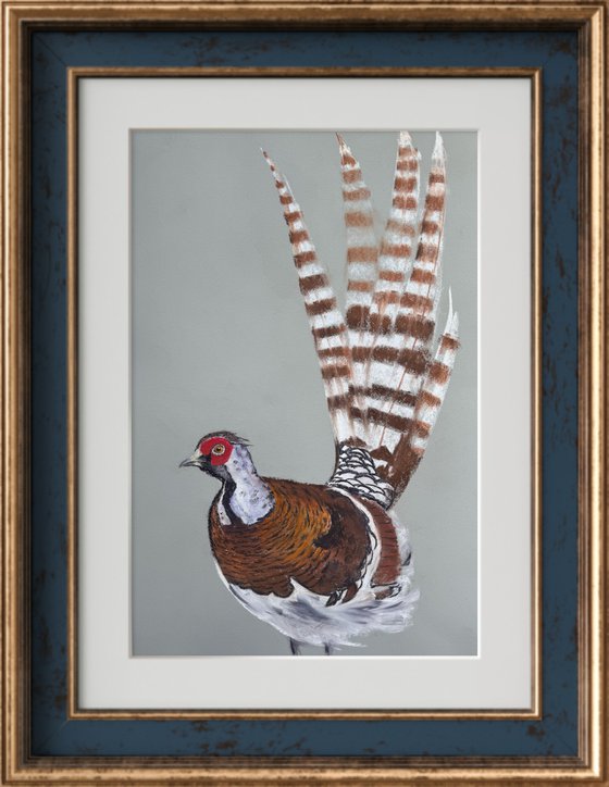 Phaesant Soft Pastel