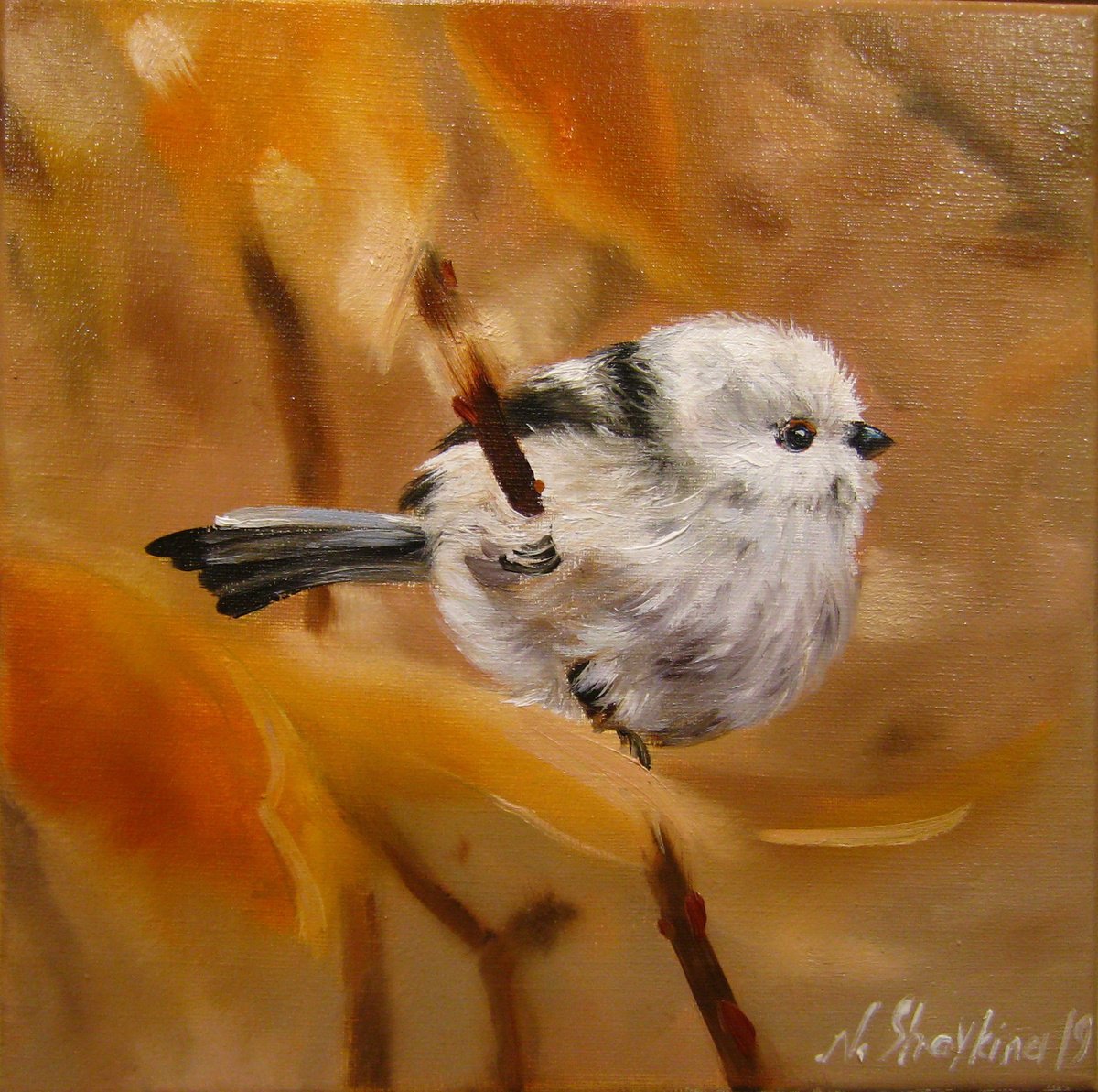 Fluffy Small White Bird by Natalia Shaykina