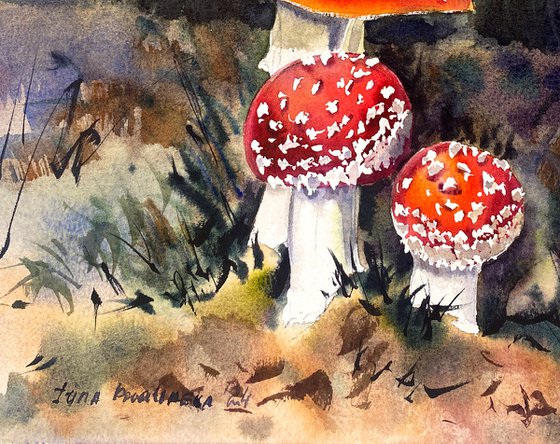 Sunlit Forest Mushrooms