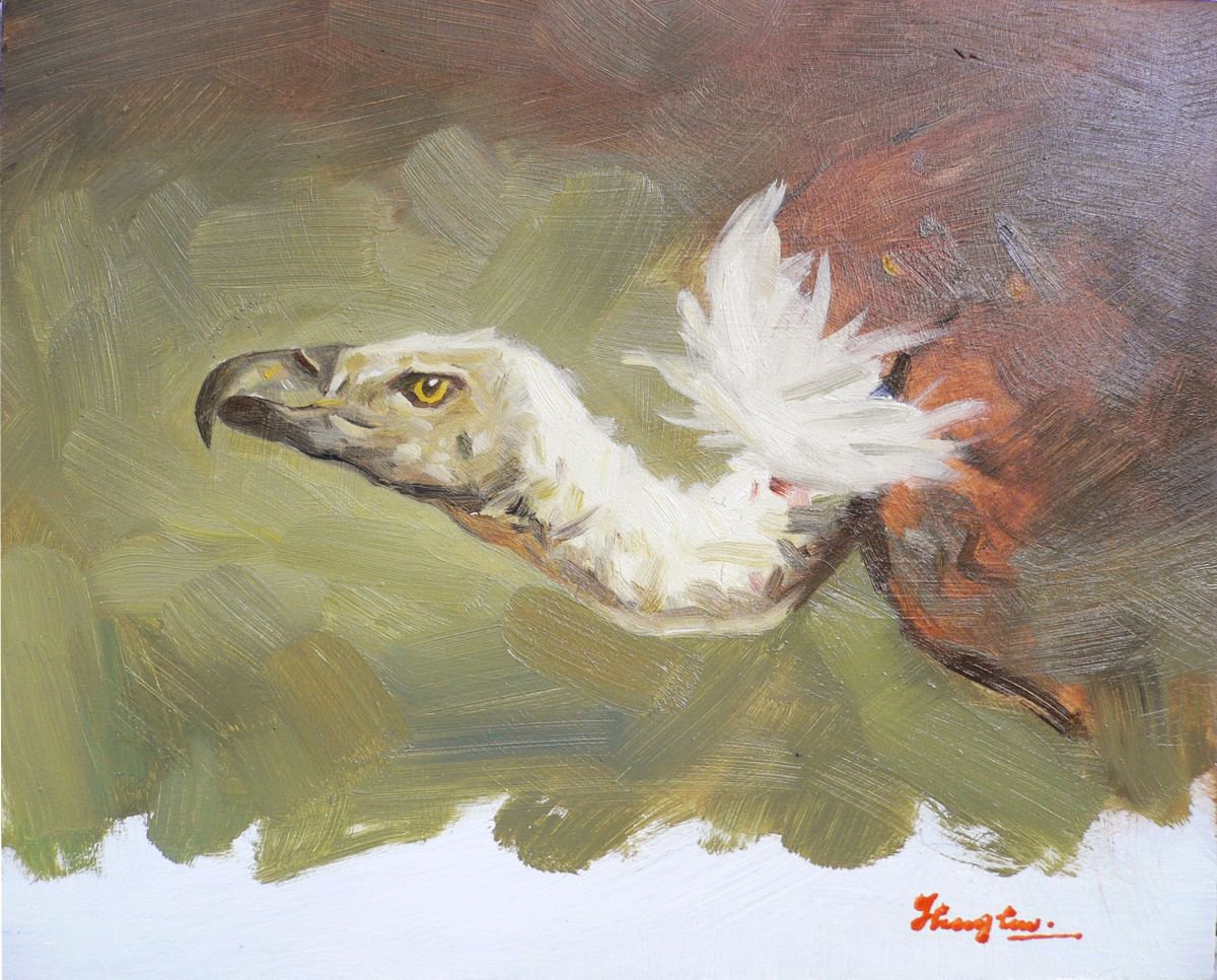 Oil painting VULTURE on wood board by Hongtao Huang