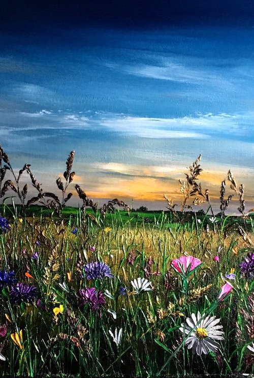 Striking skies by Kimberley  Harris