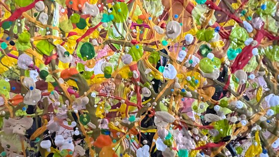 The Forest’s Gentle Song