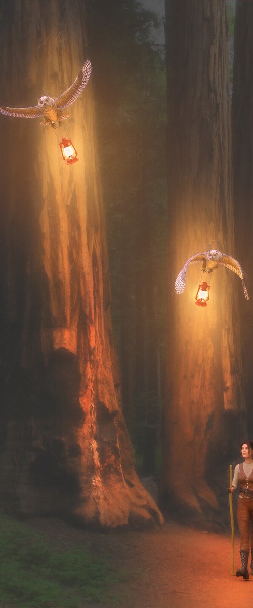 Redwood Adventure II by Tony Fowler