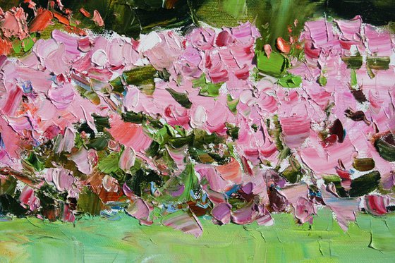 " My garden. Roses "