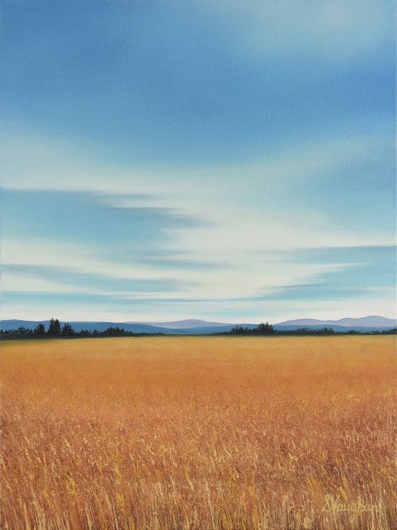 Harvest Wheat - Blue Sky Landscape