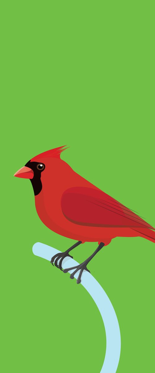 Red Cardinal Bird by David Gill