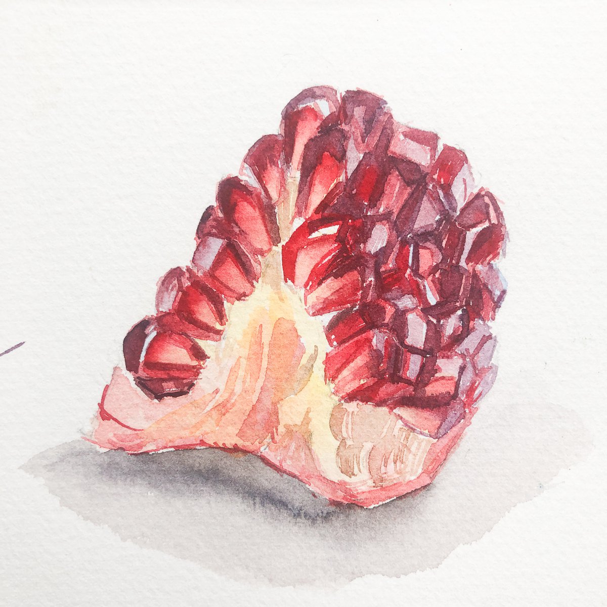 Pomegranate | little watercolor etude by Nataliia Nosyk
