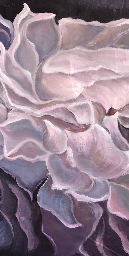 Silver roses by Olga Volna