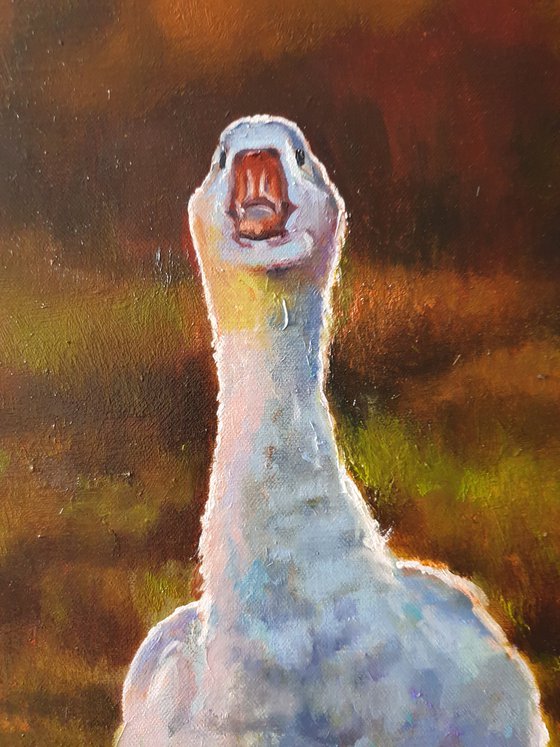 "Two cheerful geese"