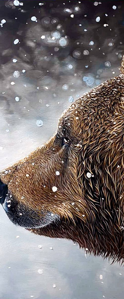 Brown Bear - wild life / wild animal / animalism by Elena Adele Dmitrenko