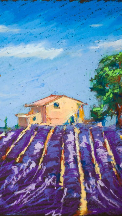 Lavender field in Provence. Medium oil pastel drawing bright colors France by Sasha Romm