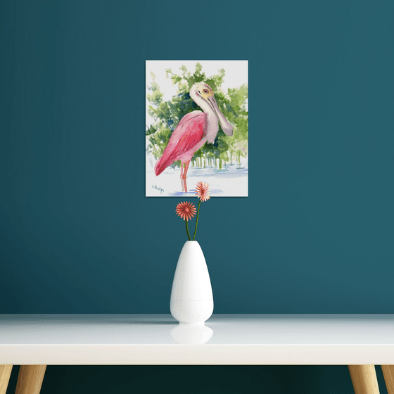 Roseate Spoonbill
