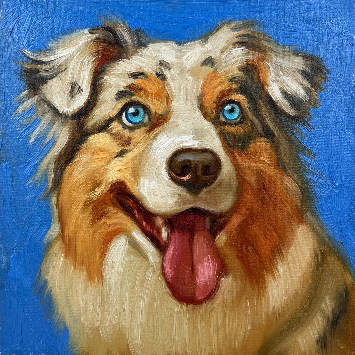 Australian Shepherd by Elina Arbidane