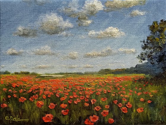 Poppy horizon
