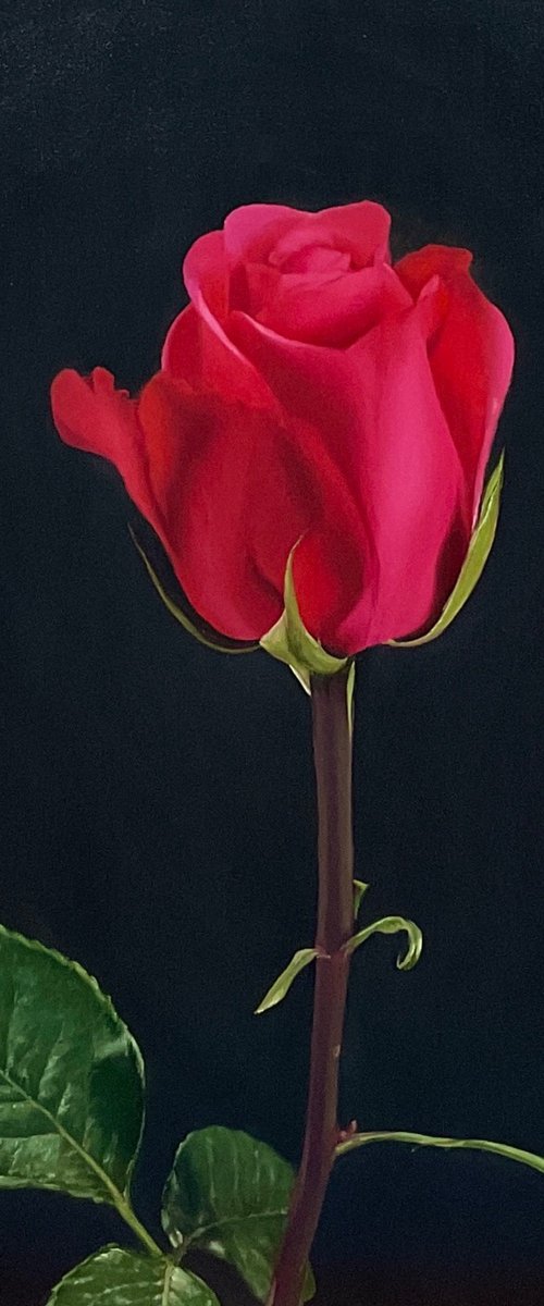 Essense of Love. Rose by Alla Kallass