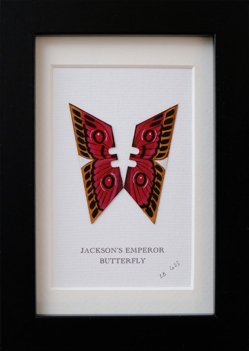 Jackson’s Emperor Butterfly by Lene Bladbjerg