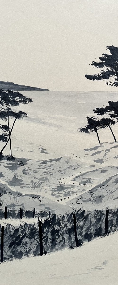 Coastal path by Cadiou Frederic