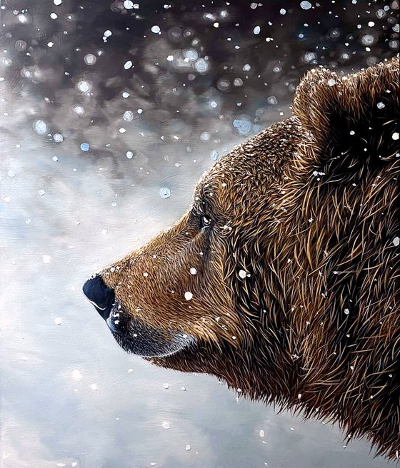 Brown Bear - wild life / wild animal / animalism