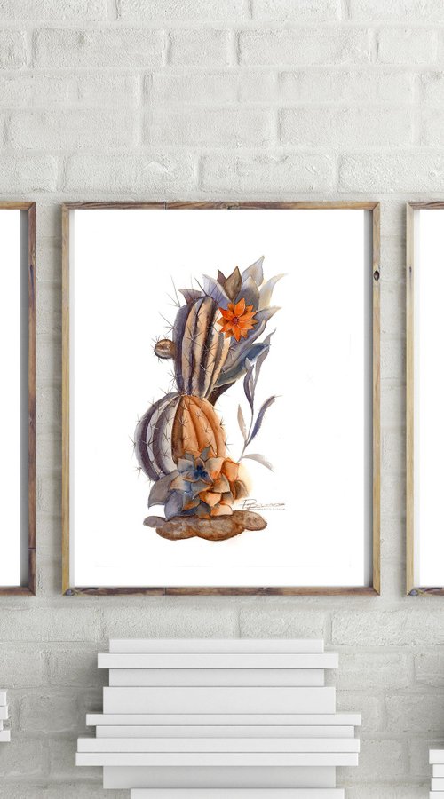 Set of 3 Watercolor Cactuses by Olga Tchefranov (Shefranov)