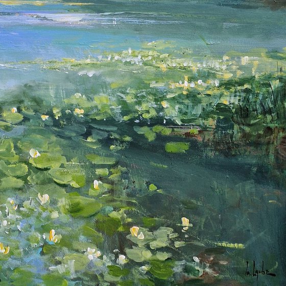 Lake with water lilies