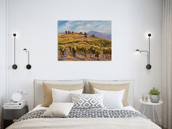 Vignes sous le soleil
